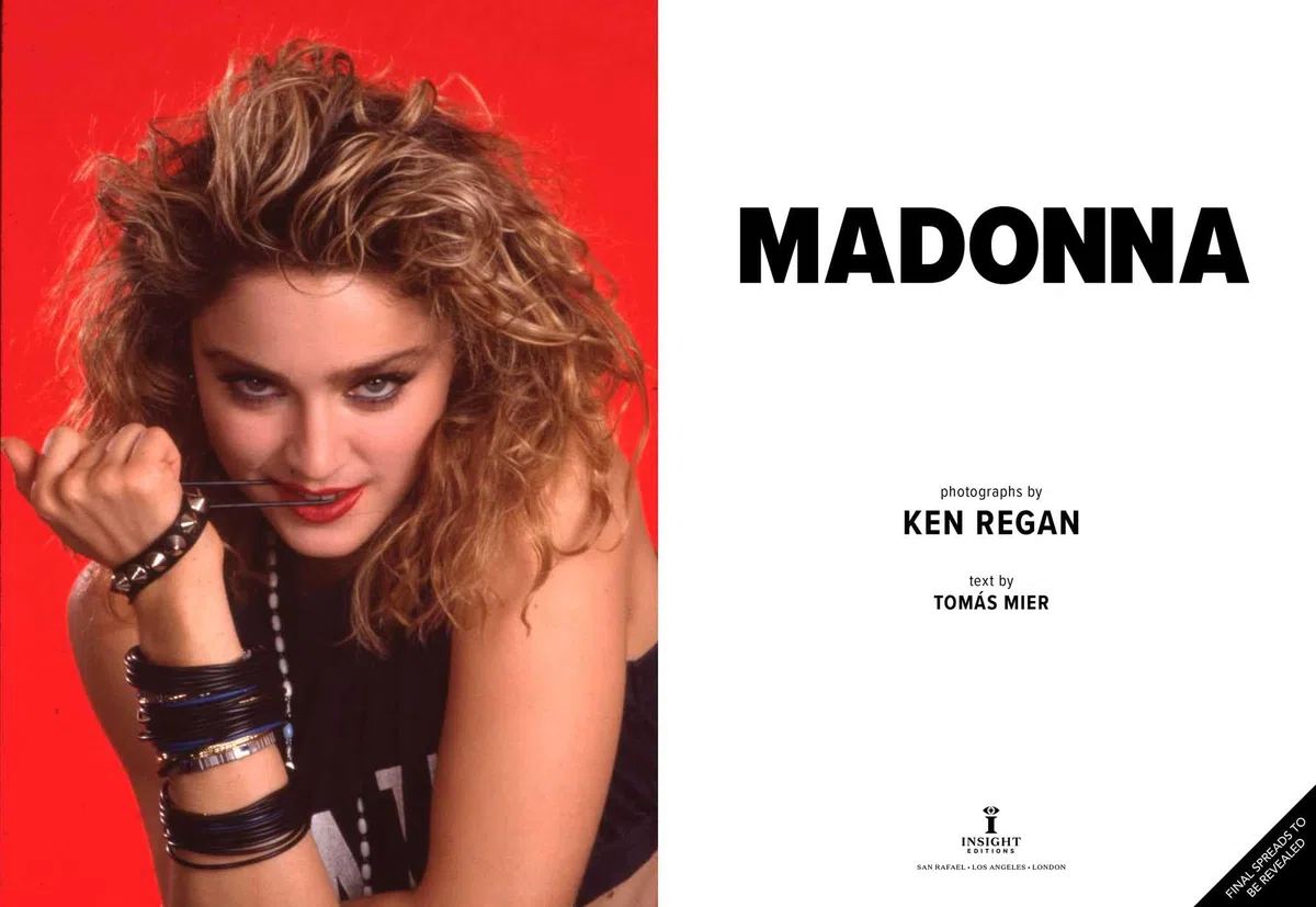 Madonna: into the Groove: An Intimate Portrait of the Queen of Pop