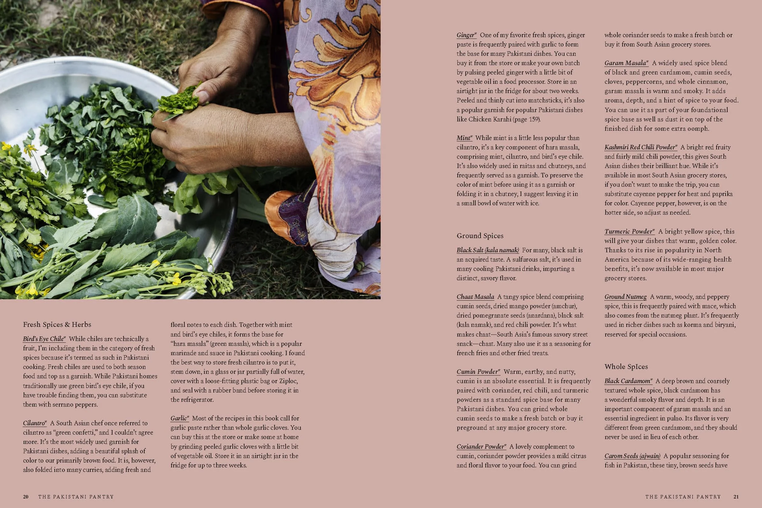 Pakistan : Recipes and Stories from Home Kitchens, Restaurants, and Roadside Stands