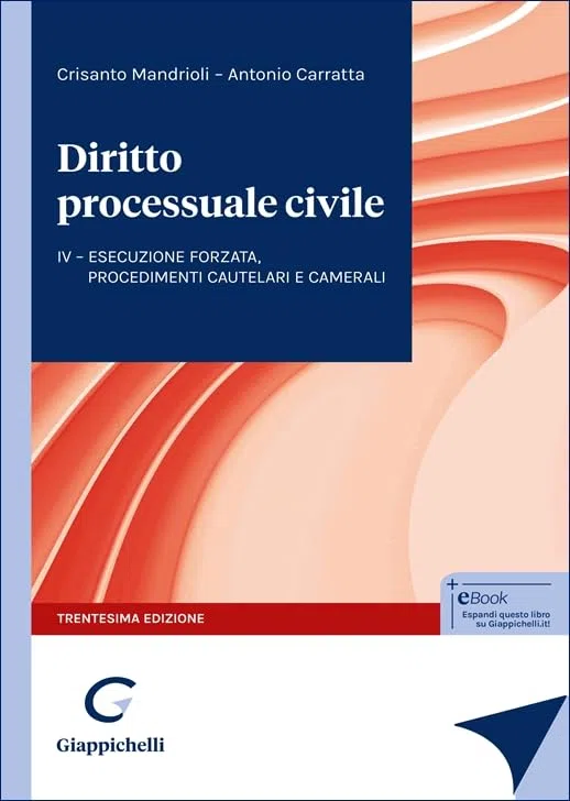 Diritto processuale civile. L'esecuzione forzata, i procedimenti sommari, cautelari e camerali (Vol. 4)