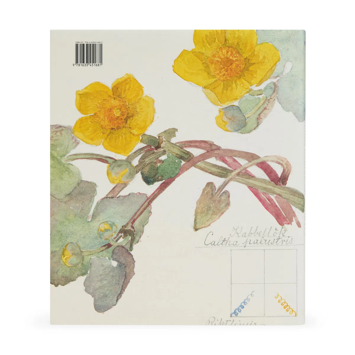 Hilma Af Klint: What Stands Behind the Flowers