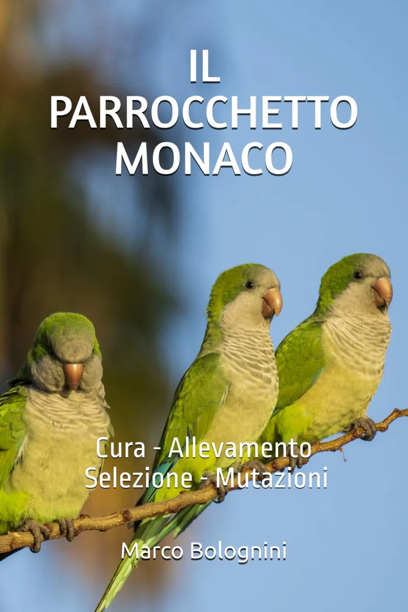 Il Parrocchetto Monaco: Cura - Allevamento - Selezione - Mutazioni