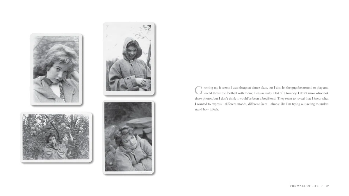 The Wall of Life: Pictures and Stories from This Marvelous Lifetime