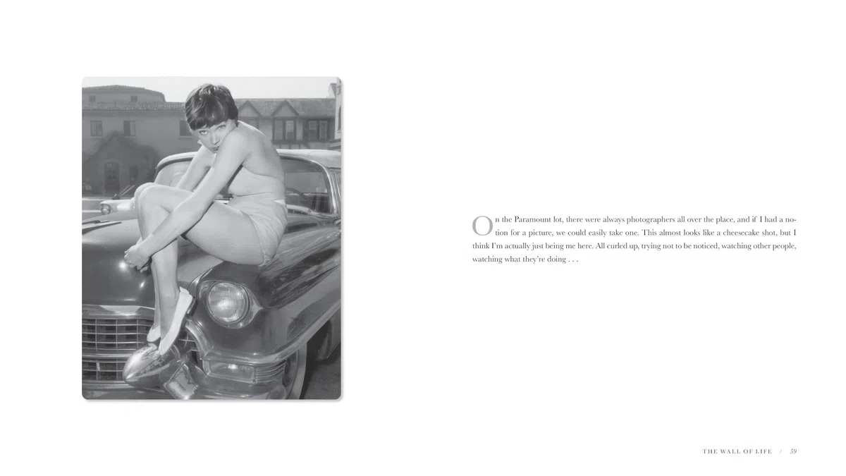 The Wall of Life: Pictures and Stories from This Marvelous Lifetime