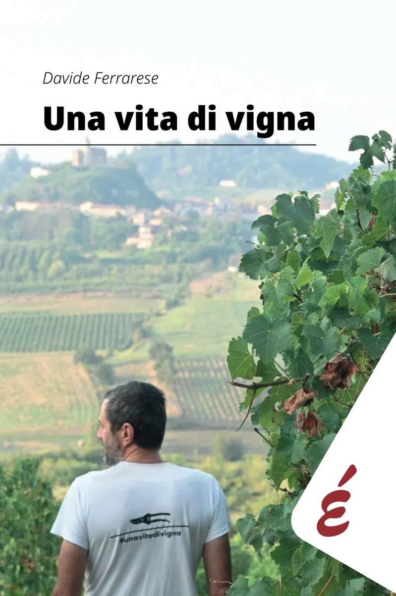 Una vita di vigna: Appunti ed esperienze tra vigneti e persone