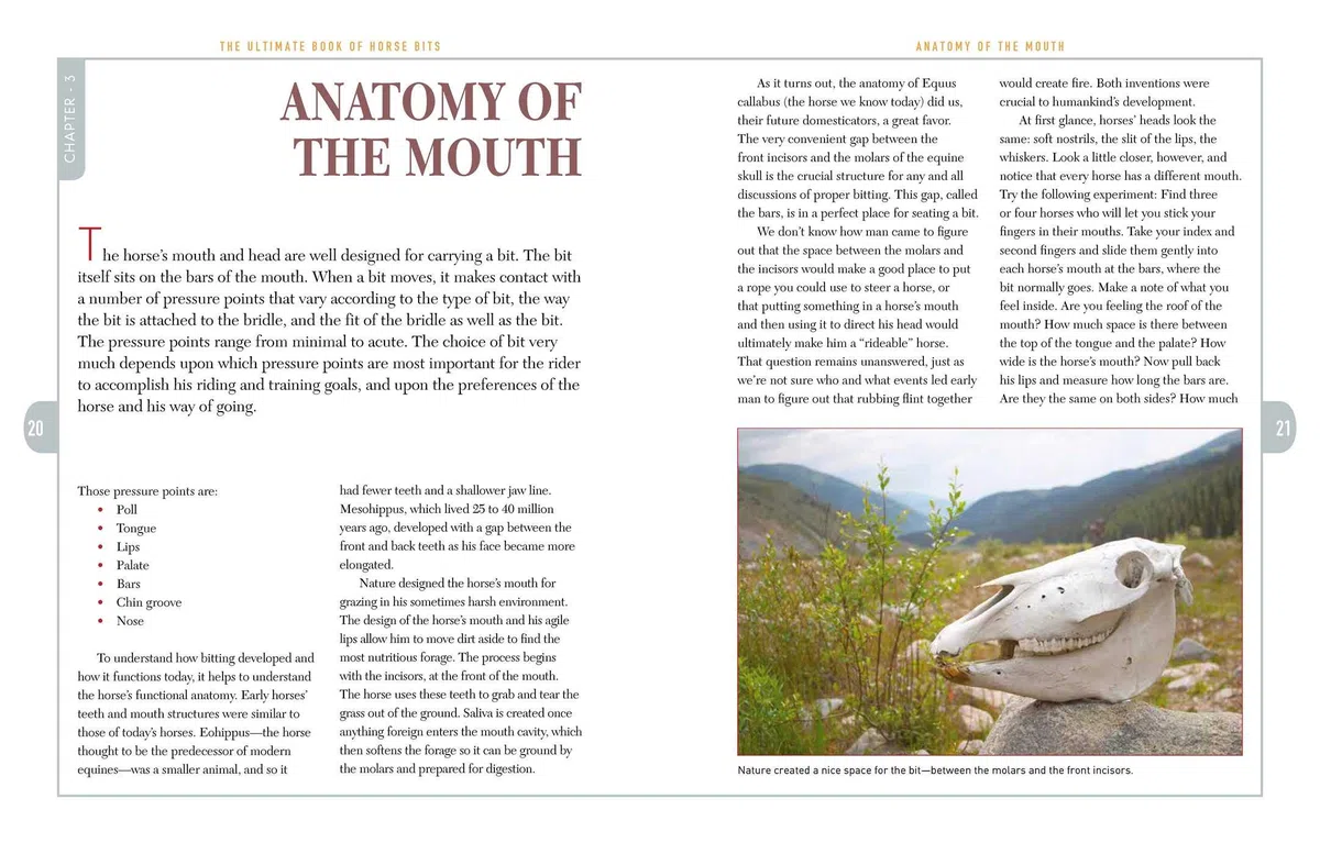 The Ultimate Book of Horse Bits: What They Are, What They Do, and How They Work (2nd Edition)