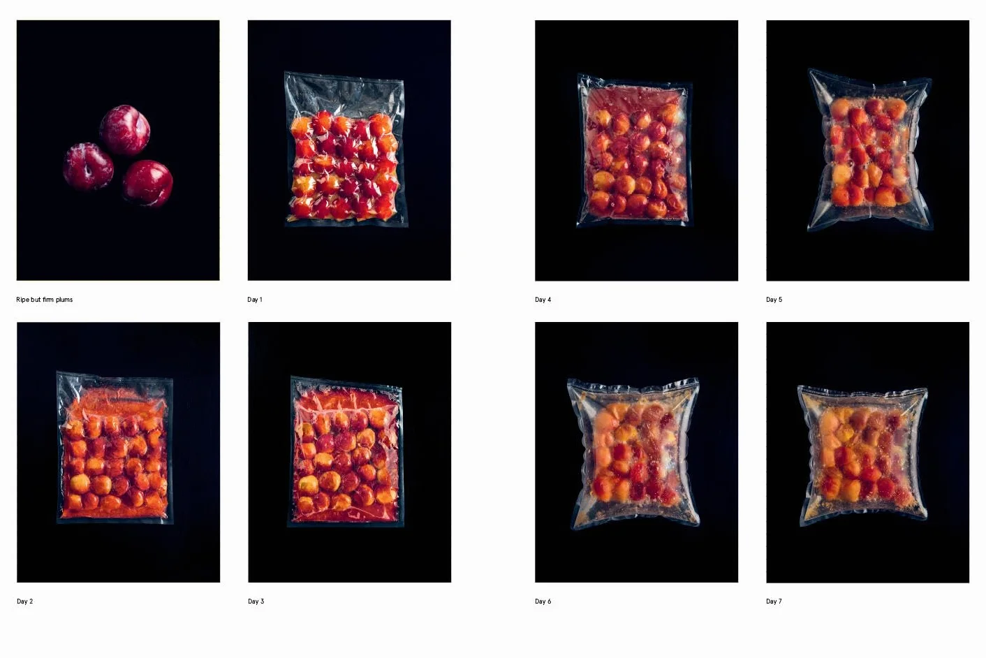 The Noma Guide to Fermentation: Including Koji, Kombuchas, Shoyus, Misos, Vinegars, Garums, Lacto-Ferments, and Black Fruits and Vegetables