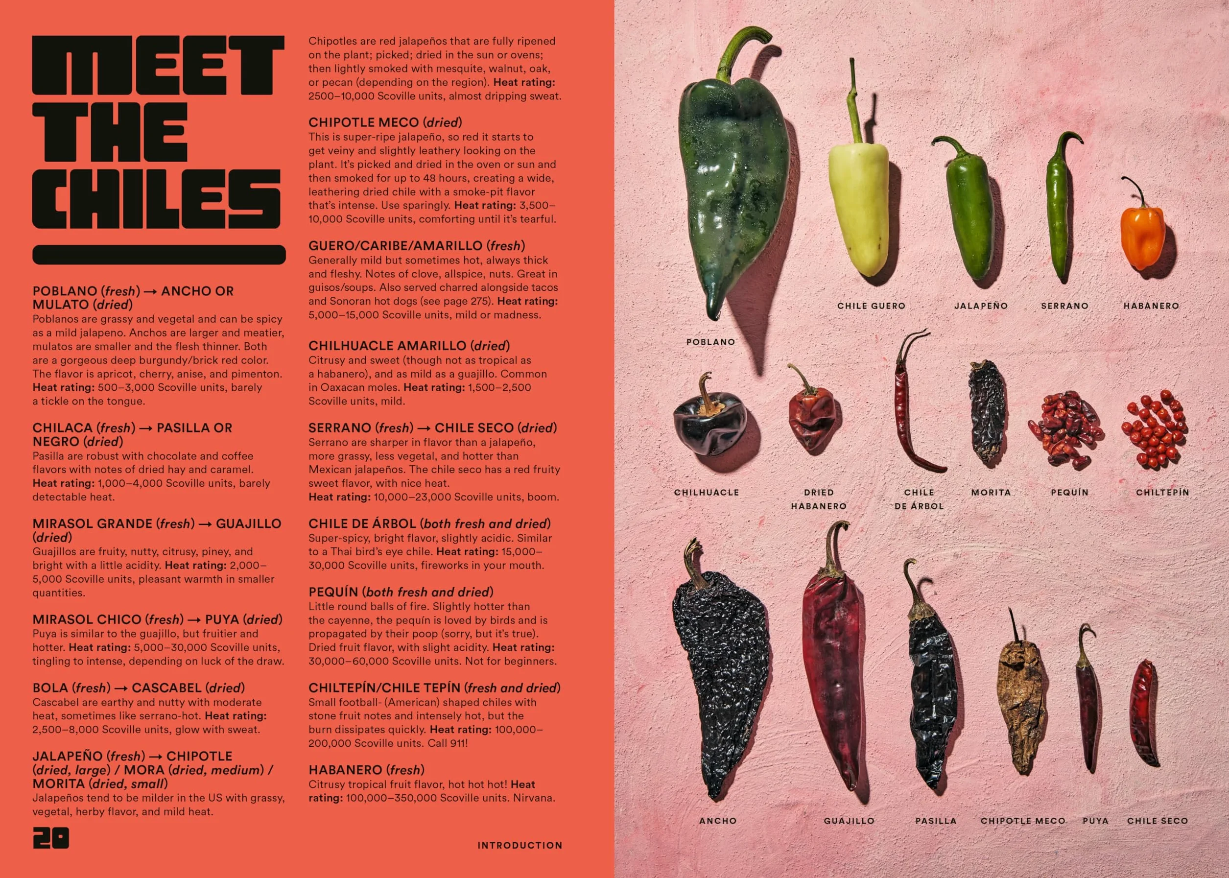 Salsa Daddy: Dip Your Way into Mexican Cooking