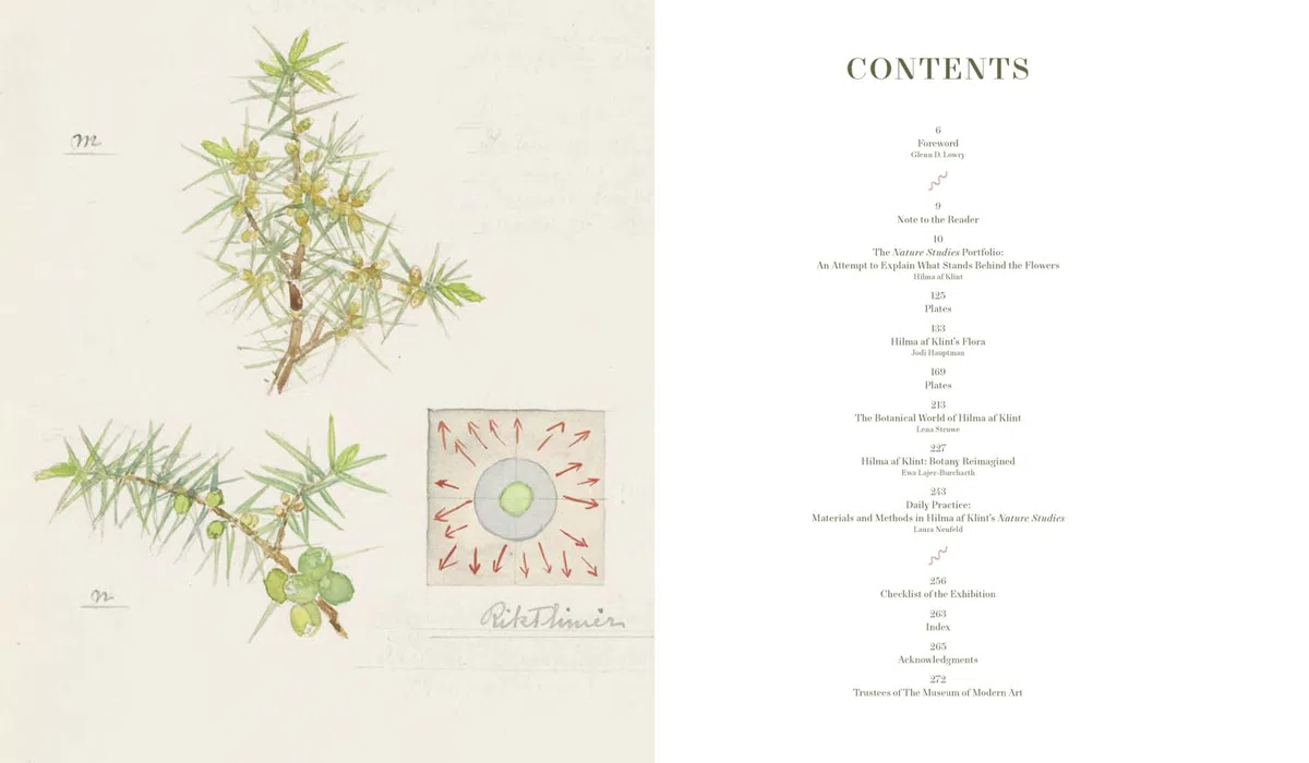 Hilma Af Klint: What Stands Behind the Flowers