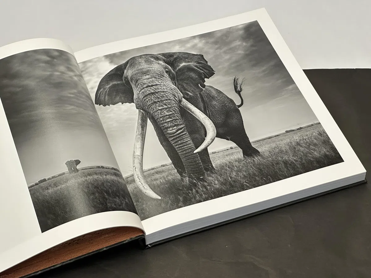 Walk the Earth: Photographs of Africa's Last Great Elephants