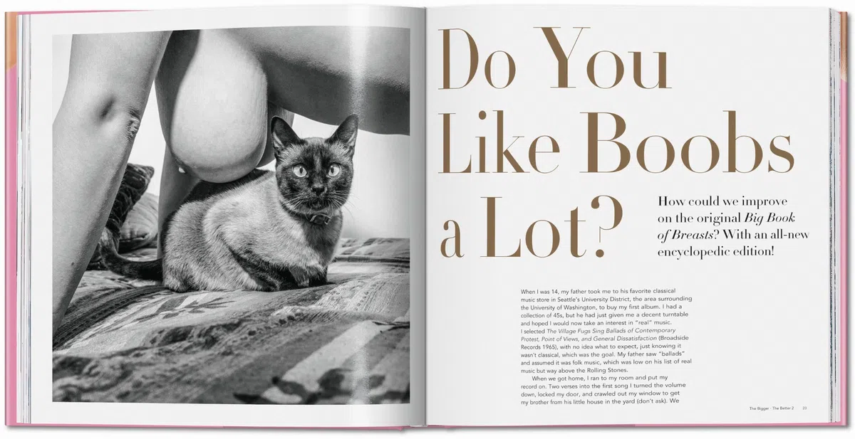 The Bigger Book of Breasts: Volume 2