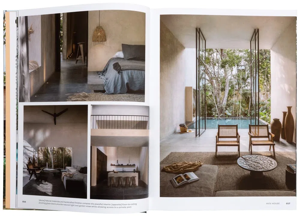 Concrete Jungle: Tropical Architecture and Its Surprising Origins