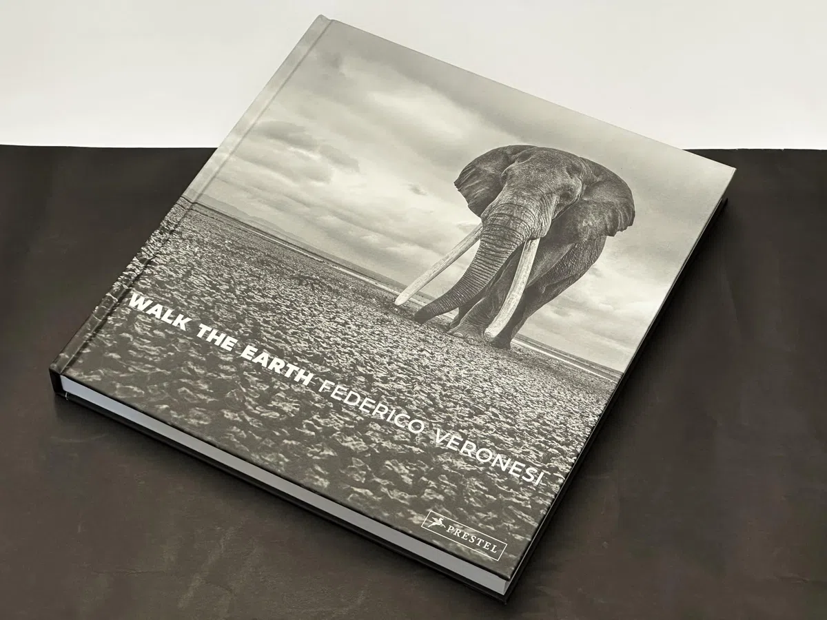 Walk the Earth: Photographs of Africa's Last Great Elephants