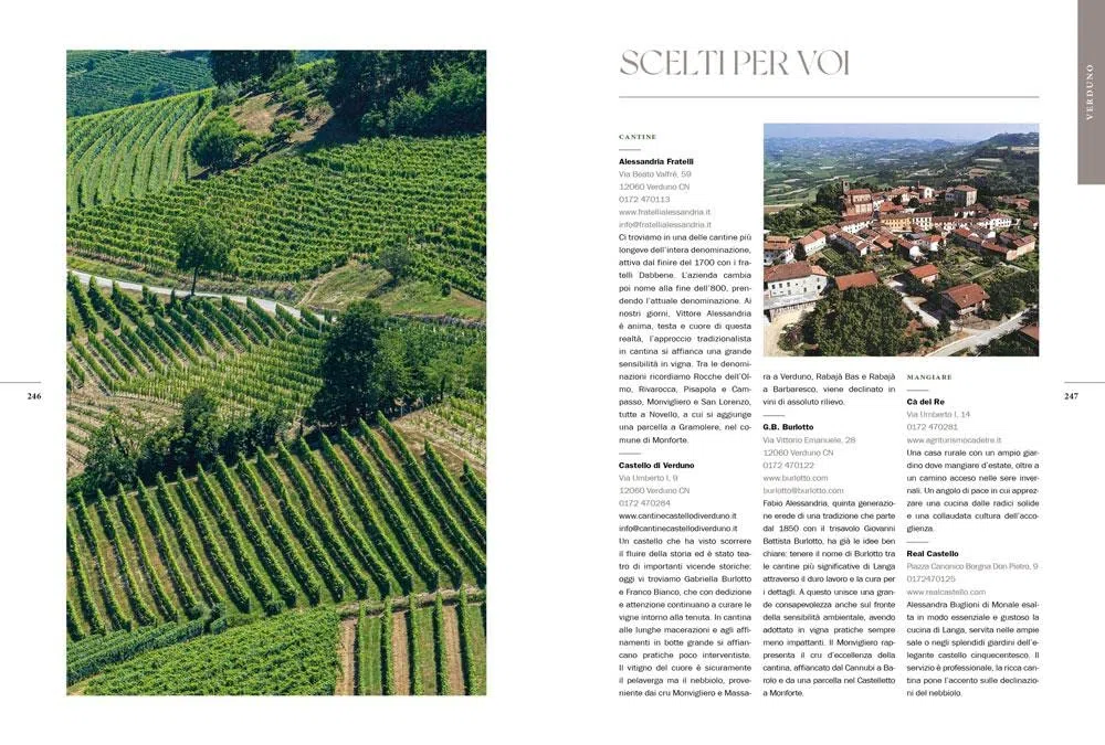 Atlante delle vigne di Langa. I grandi cru del Barolo e Barbaresco