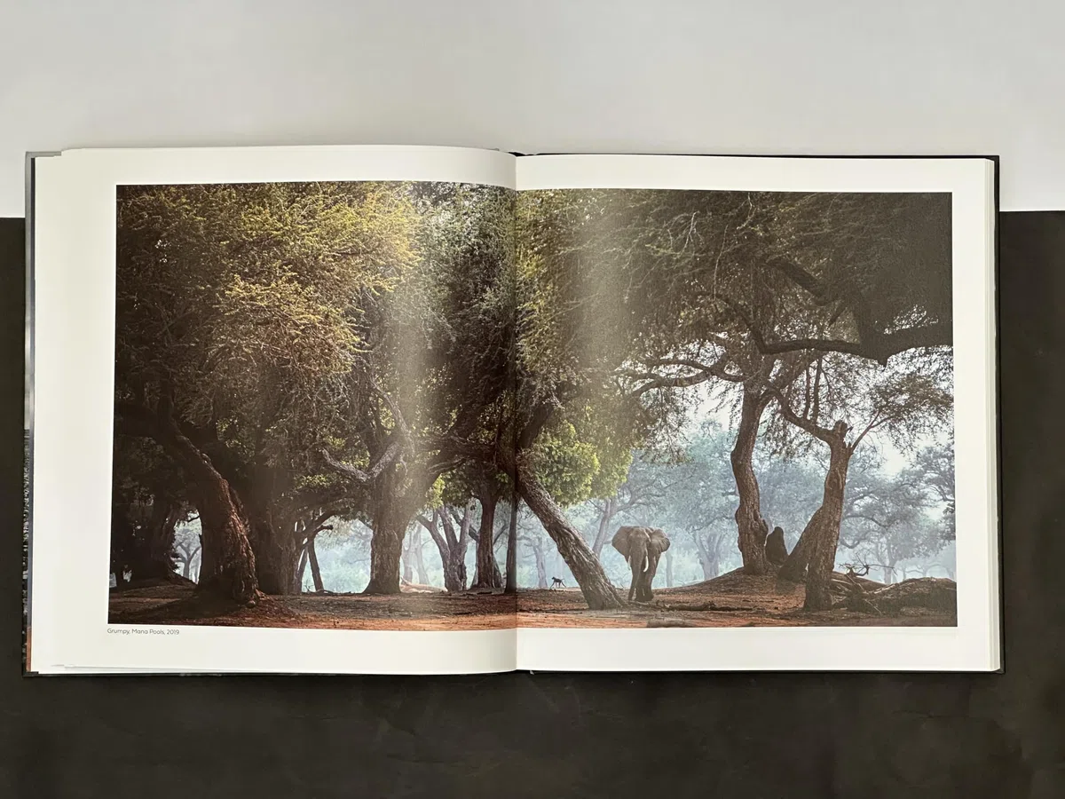 Walk the Earth: Photographs of Africa's Last Great Elephants