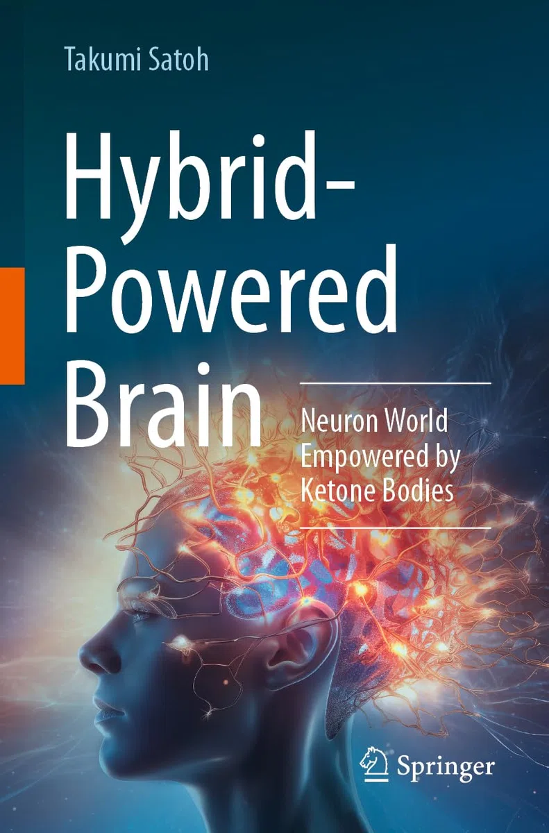 Hybrid-Powered Brain: Neuron World Empowered by Ketone Bodies