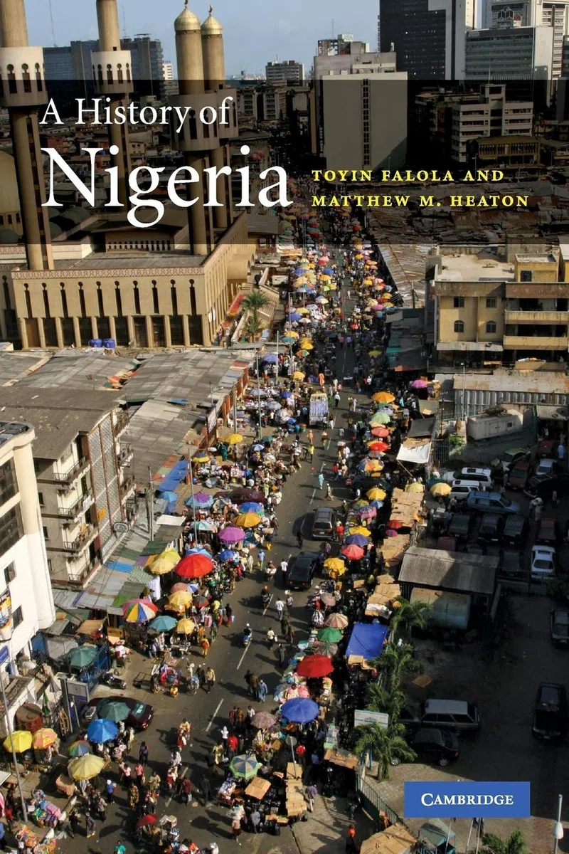 A History of Nigeria [Lingua inglese]