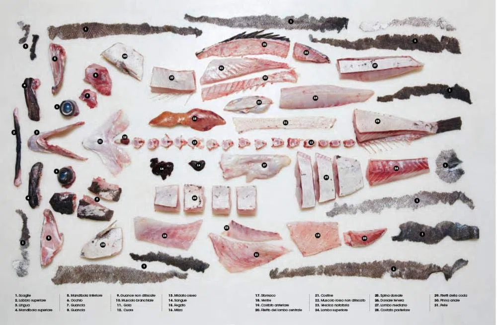 Il grande libro del pesce. Nuovi modi per cucinarlo, mangiarlo e pensarlo