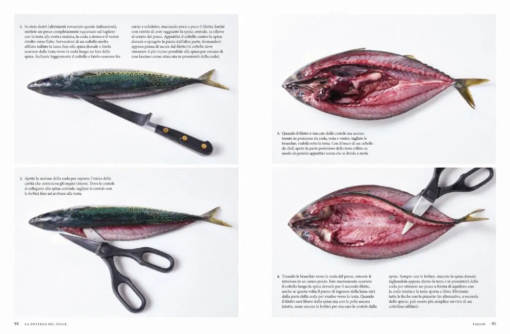 La bottega del pesce. Pesca, taglio, creazioni