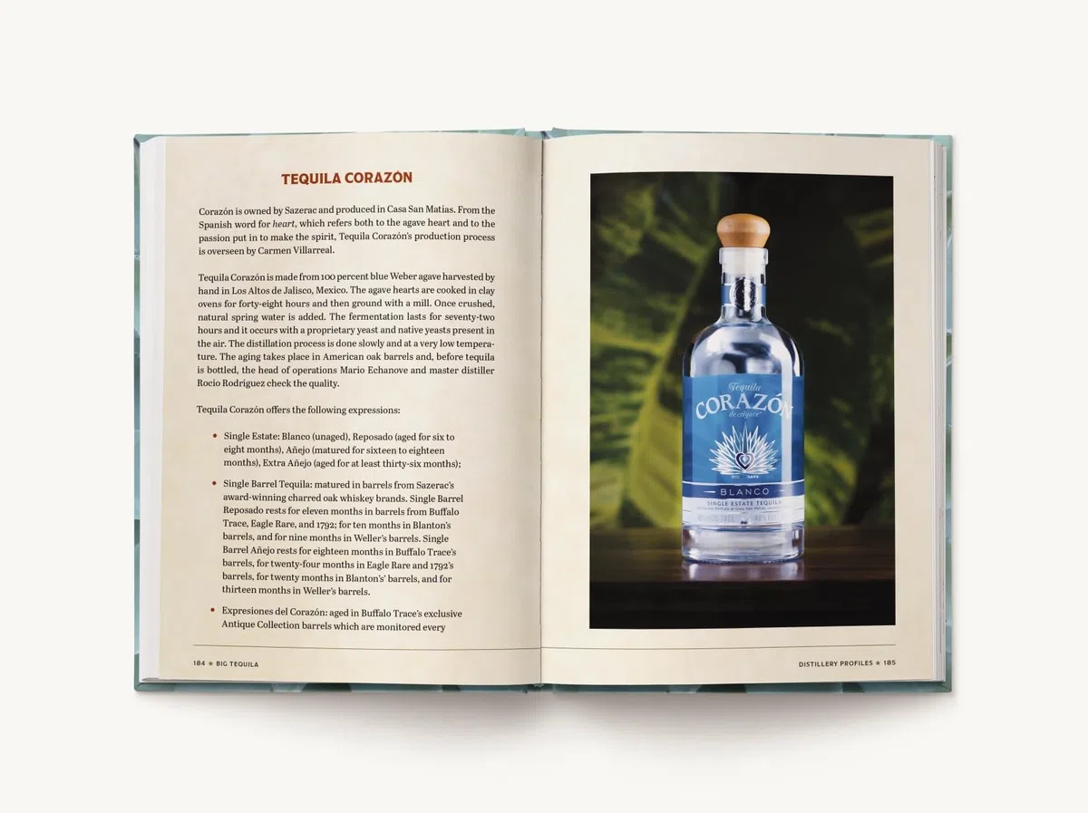 Big Tequila: A Comprehensive Guide to Agave Spirits