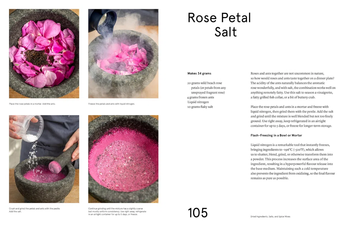 The Noma Guide to Building Flavour: Including Recipes and Techniques for Sauces, Butters, Broths, Reductions, Preserves, Vinaigrettes, Flavoured Salts, and Infused Oils