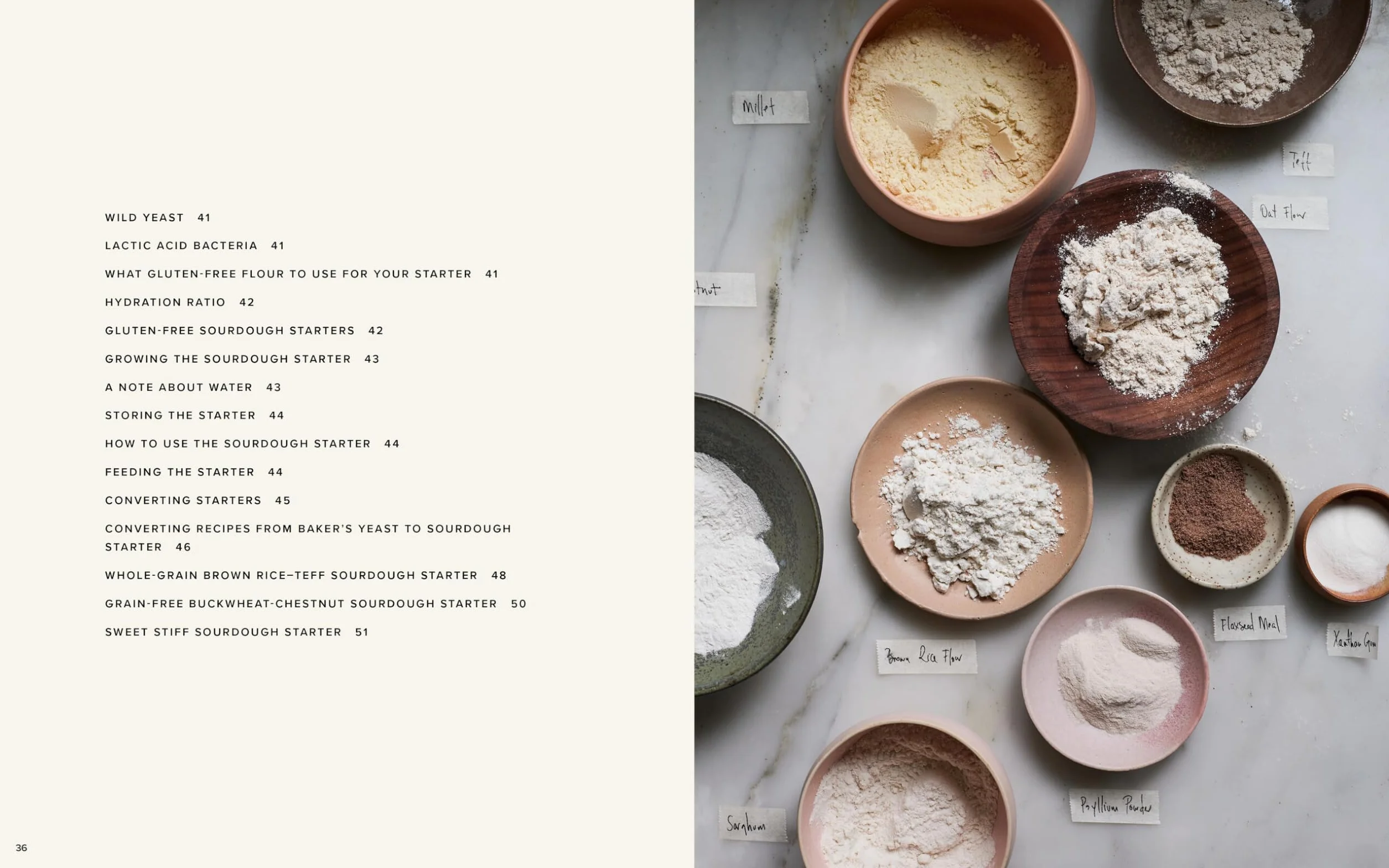 The Art of Gluten-free Bread: Groundbreaking Recipes for Artisanal Breads and Pastries