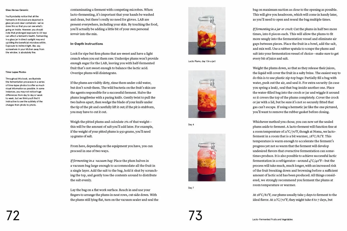 The Noma Guide to Fermentation: Including Koji, Kombuchas, Shoyus, Misos, Vinegars, Garums, Lacto-Ferments, and Black Fruits and Vegetables