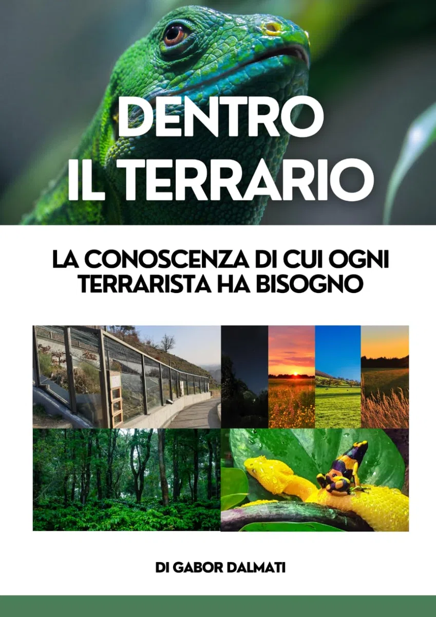 Dentro il Terrario: La conoscenza di cui ogni terrarista ha bisogno