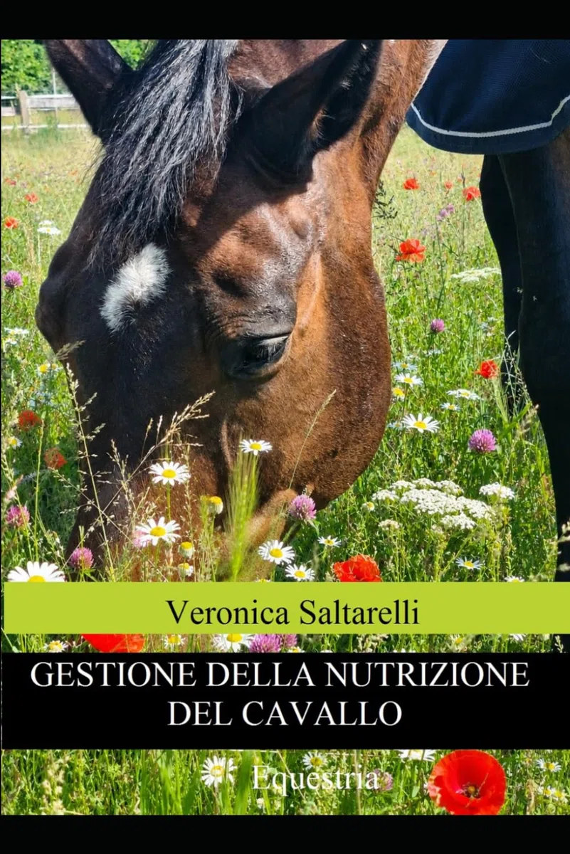 Gestione della nutrizione del cavallo