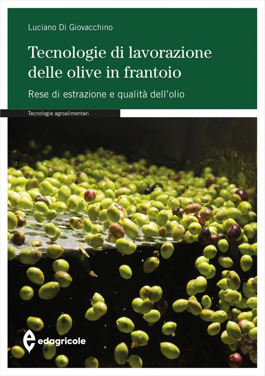 Tecnologie di lavorazione delle olive in frantoio. Rese di estrazione e qualità dell'olio
