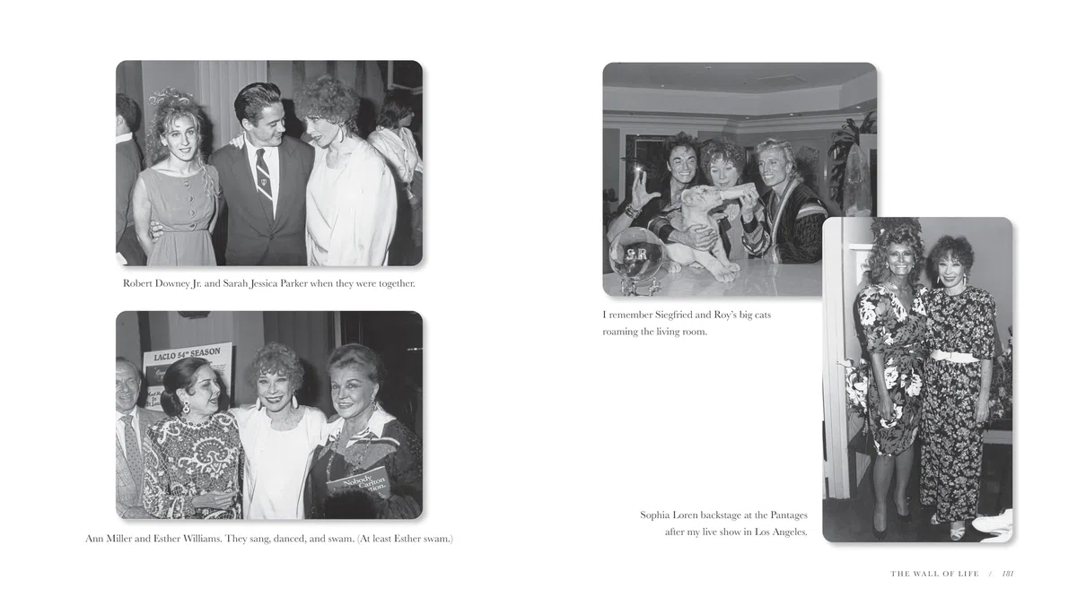 The Wall of Life: Pictures and Stories from This Marvelous Lifetime
