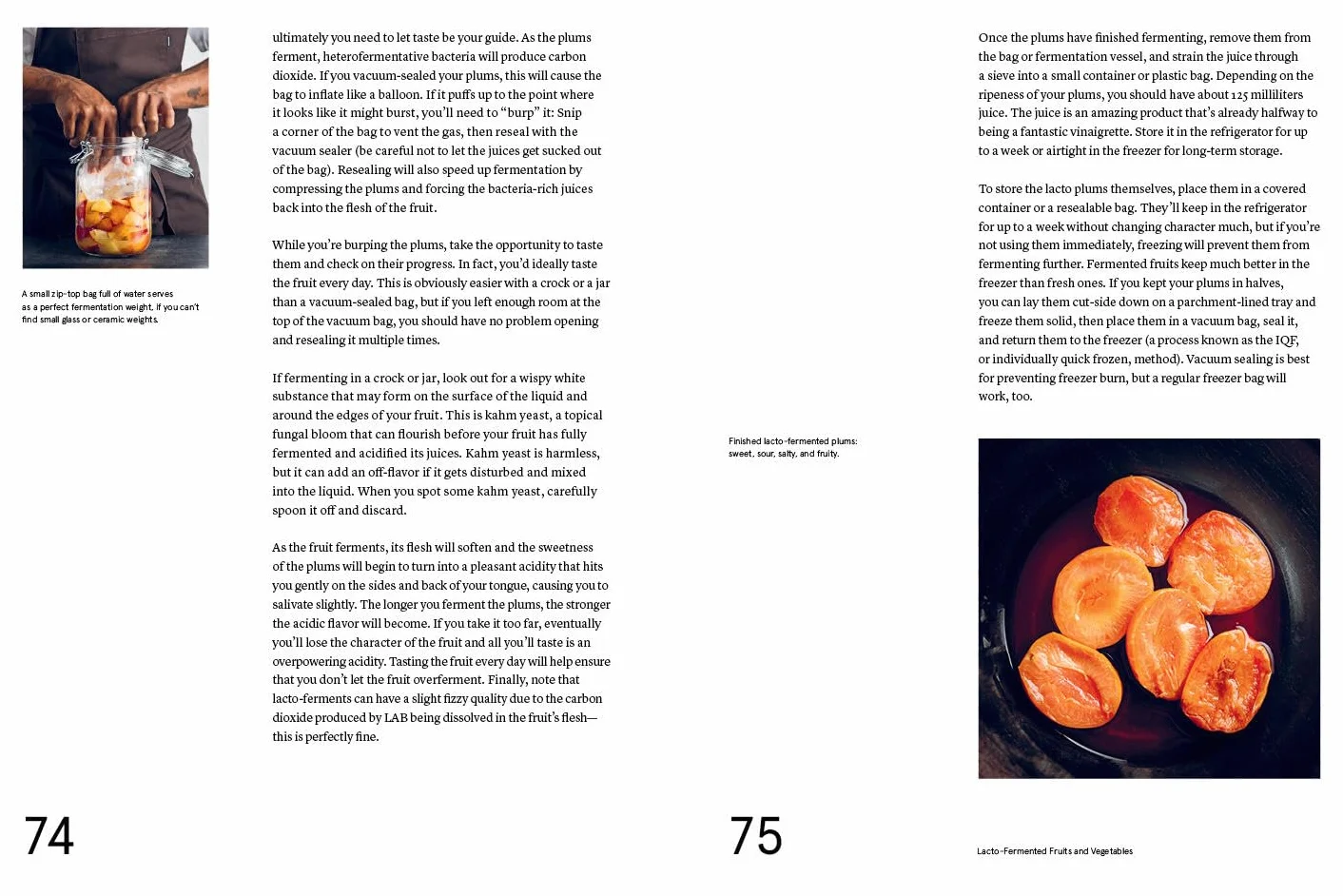 The Noma Guide to Fermentation: Including Koji, Kombuchas, Shoyus, Misos, Vinegars, Garums, Lacto-Ferments, and Black Fruits and Vegetables