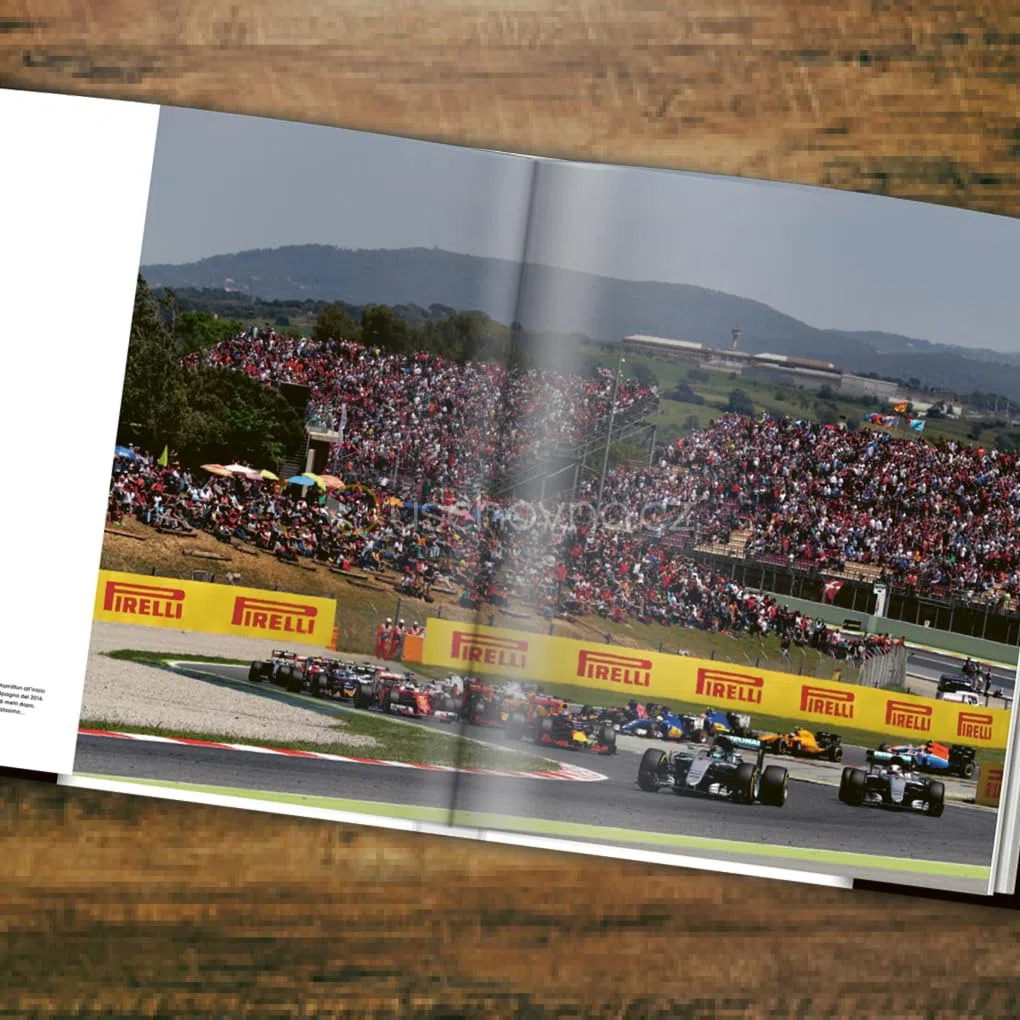 Formula 1: rivali. I più grandi duelli della F1