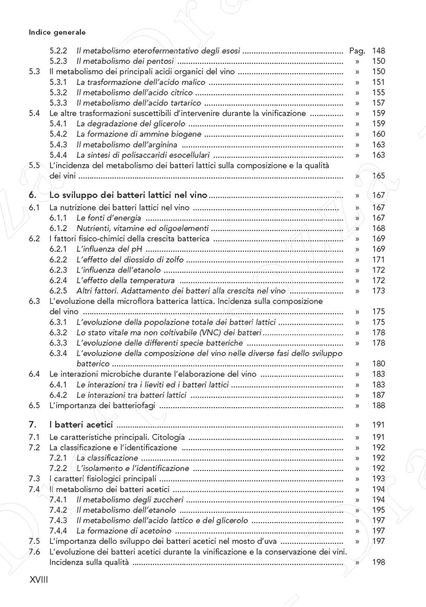 Trattato di enologia. Nuova ediz.. Microbiologia del vino e vinificazioni (Vol. 1)