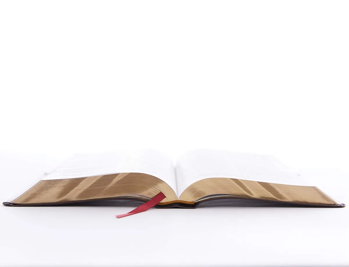 The Holy Bible: King James Version, Burgundy Bonded Leather, Personal Size Giant Print Reference Bible: Red Letter Edition