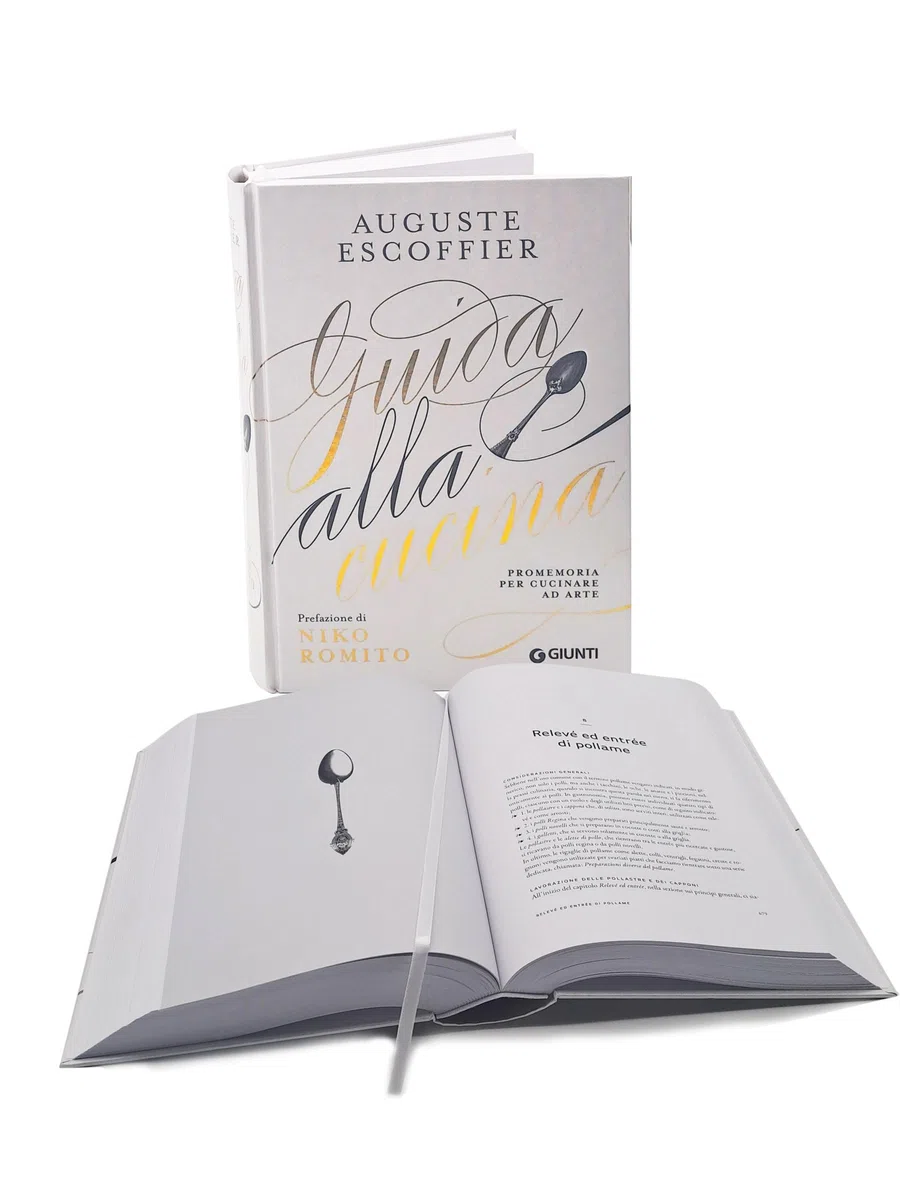 Guida alla cucina. Promemoria per cucinare ad arte