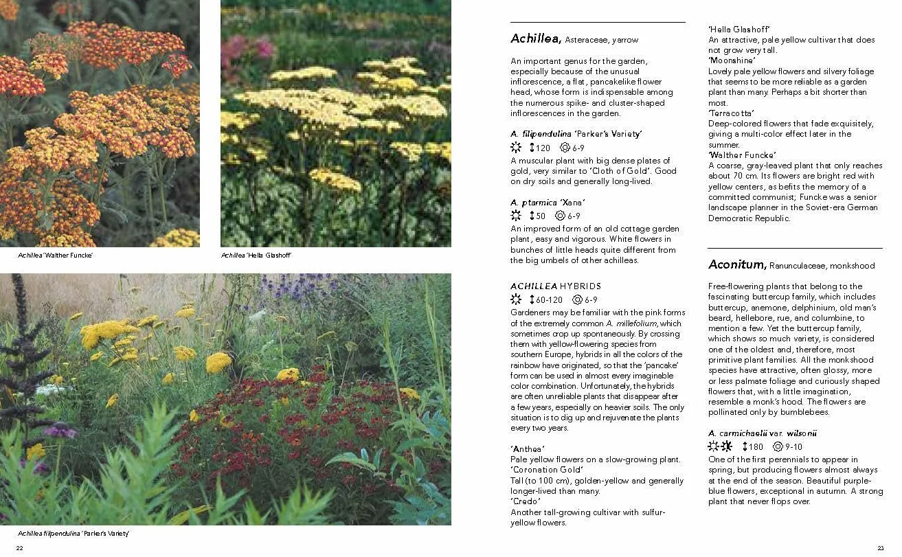 Planting the Natural Garden