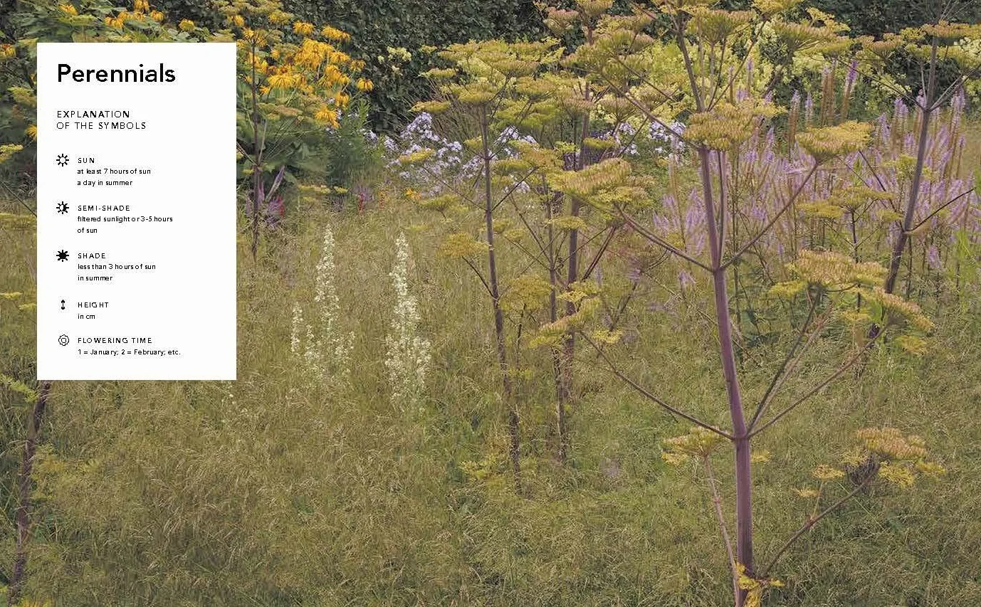 Planting the Natural Garden