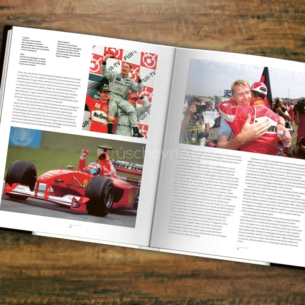Formula 1: rivali. I più grandi duelli della F1