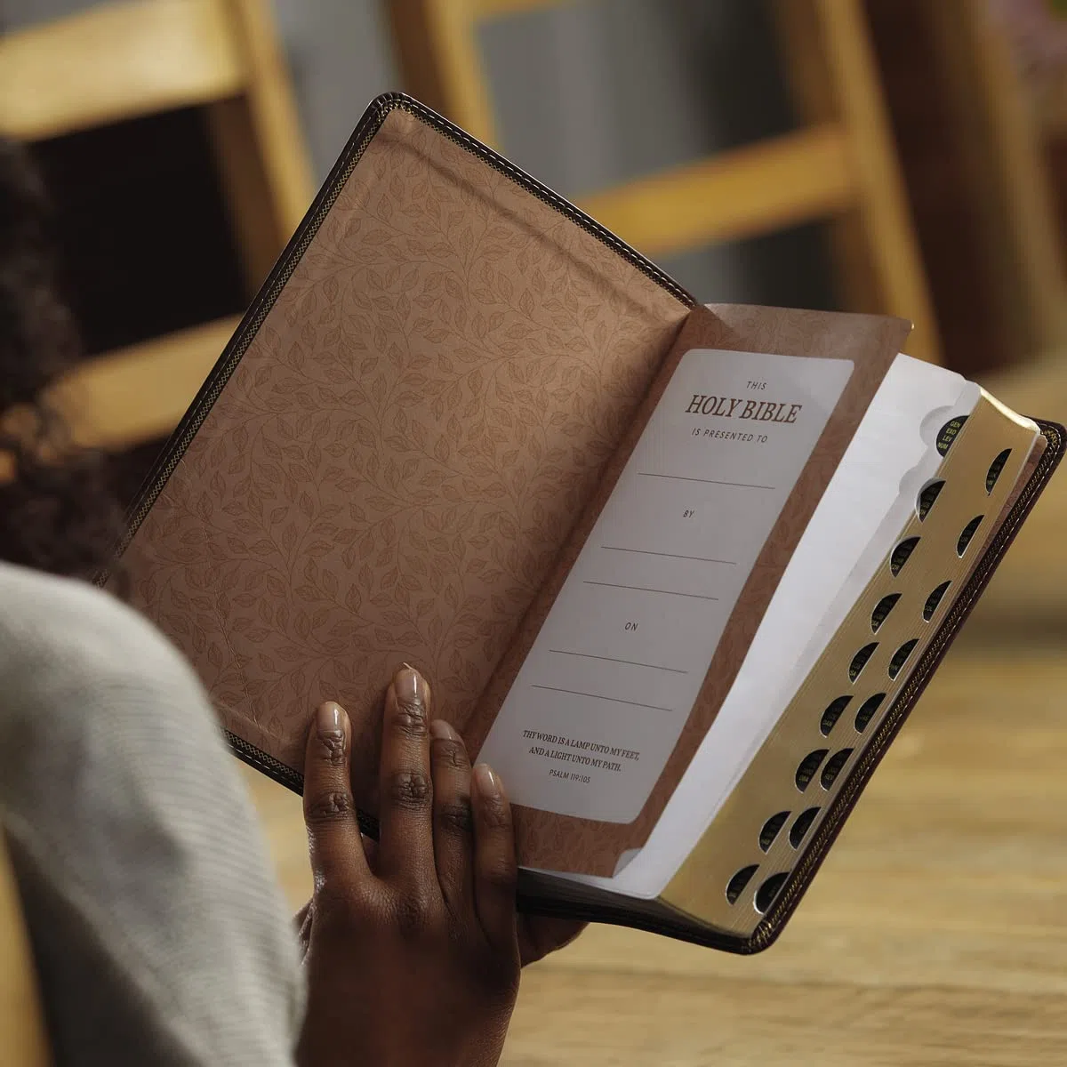 The Holy Bible: King James Version, Burgundy Bonded Leather, Personal Size Giant Print Reference Bible: Red Letter Edition